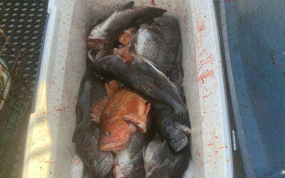 The Ultimate Oregon Fishing Bucket List