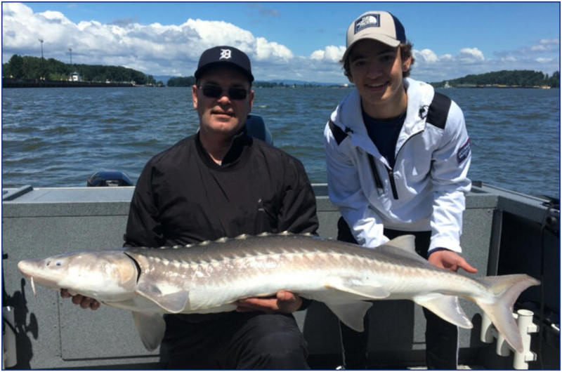 Oregon Sturgeon Fishing Guide