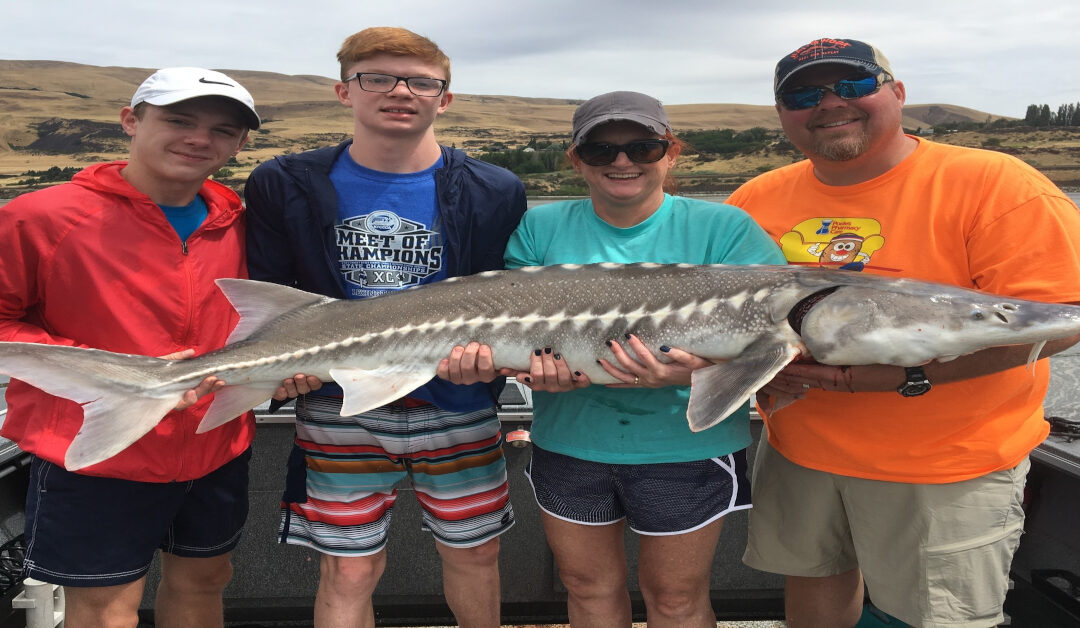 How to Catch Salmon, Steelhead, and Sturgeon in One Trip