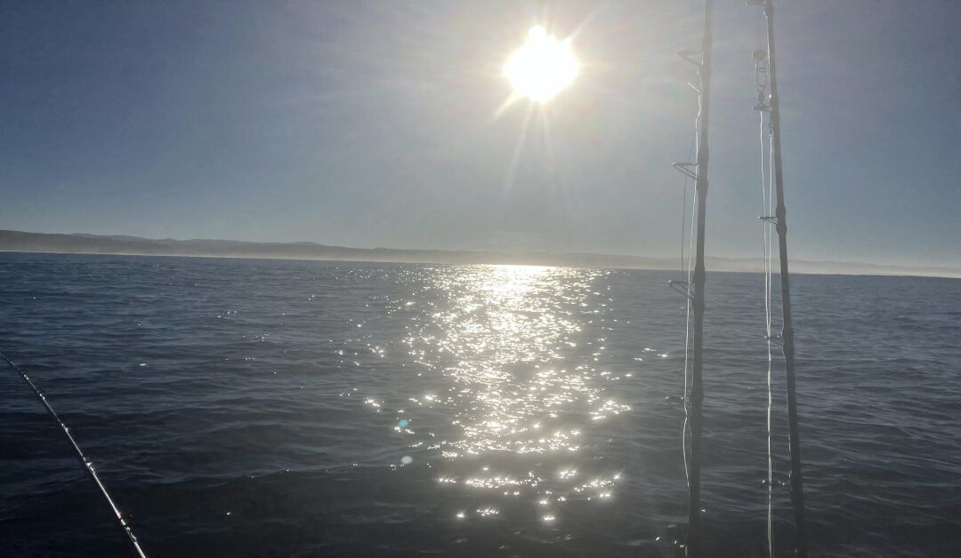 Exploring the Sandy River: A Local Treasure