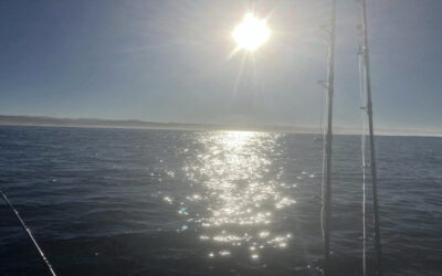 Exploring the Sandy River: A Local Treasure