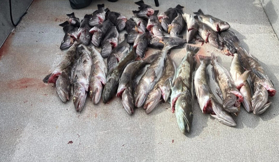 How to Plan a Multi-Day Oregon Fishing Tour