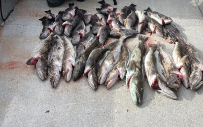 How to Plan a Multi-Day Oregon Fishing Tour