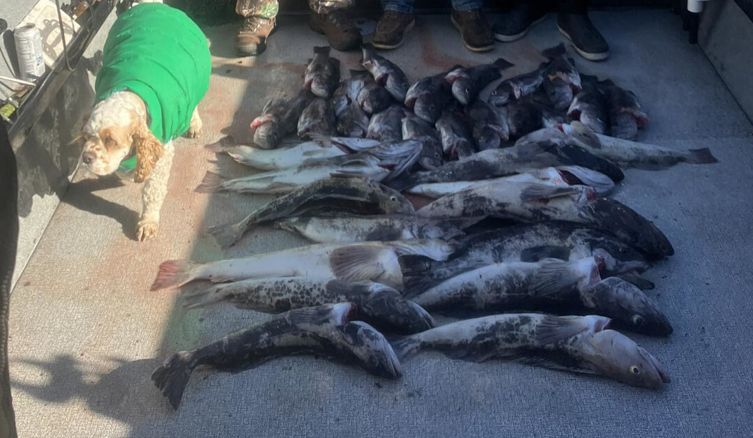 Tillamook Bay Fall Salmon Fishing: 2026 Season Guide