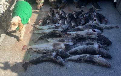 Tillamook Bay Fall Salmon Fishing: 2026 Season Guide